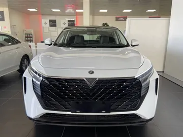 Купить Venucia V-Online Белый 1.5 TGDI DCT (190 л.с.) от 2300000 ₽. в Краснодар